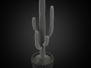 Plants collection 253 3Dモデル