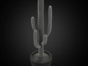 Plants collection 253 3D Model