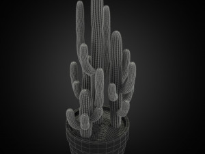 Plants collection 254 3D 模型