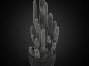Plants collection 254 3D Model