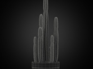 Plants collection 255 3D Model