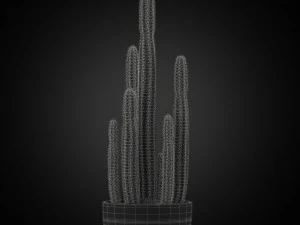 Plants collection 255 3D Model
