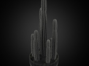 Plants collection 255 3D Model