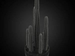 Plants collection 255 3D Model