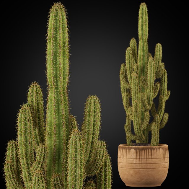 Plants collection 256 3D Model .c4d .max .obj .3ds .fbx .stl .blend 