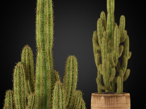 Plants collection 256 3D 模型