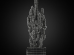 Plants collection 256 3D Model