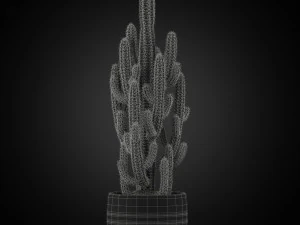 Plants collection 256 3D Model