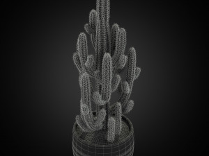 Plants collection 256 3D Model