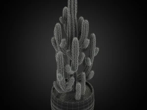 Plants collection 256 3D Model