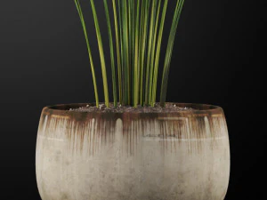Plants collection 257 3D Model