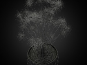 Plants collection 257 Modèle 3D