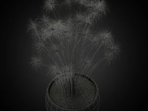Plants collection 257 3D Model