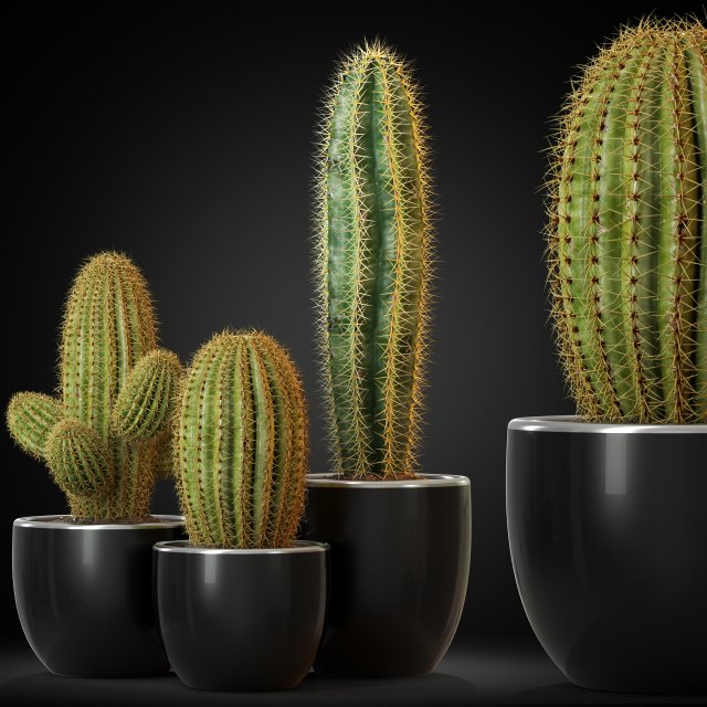 Plants collection 258 3D Model .c4d .max .obj .3ds .fbx .stl .blend 