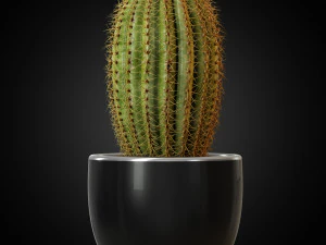 식물채집 258 3D 모델