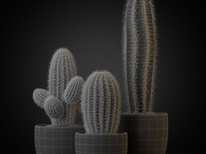 Plants collection 258 3D Model