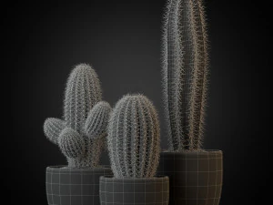 식물채집 258 3D 모델