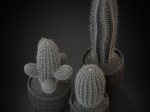 Plants collection 258 3D Model