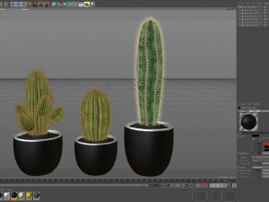 Plants collection 258 3D Model