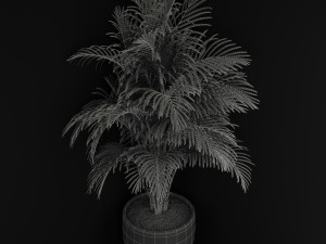 Plants collection 259 3D मॉडल