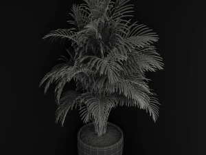 Plants collection 259 3D Model