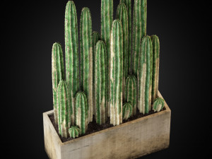 Plants collection 260 3D Модель