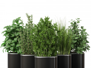 Plants collection 261 3D 모델