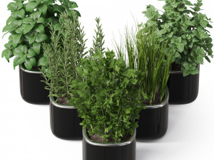 Plants collection 261 3D 모델