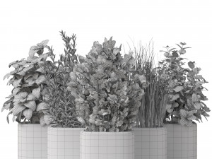 Plants collection 261 3D 모델