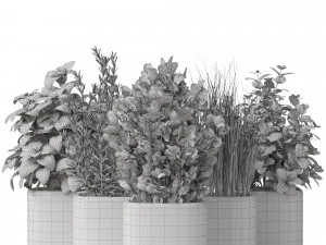 식물채집 261 3D 모델