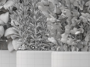 Plants collection 261 3D 모델