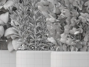 식물채집 261 3D 모델