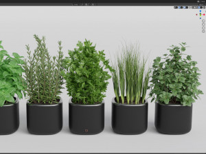 Plants collection 261 3D 모델