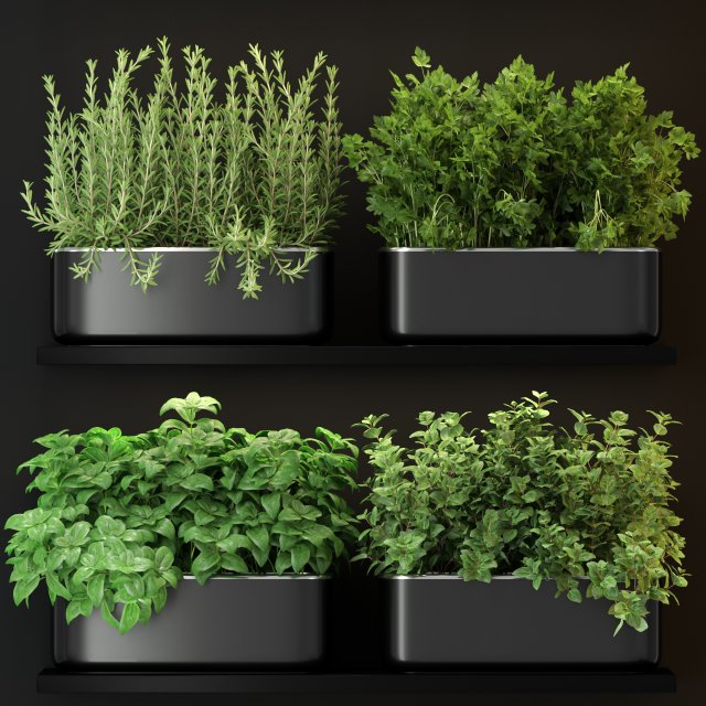 Plants collection 262 3D Model .c4d .max .obj .3ds .fbx .stl .blend 