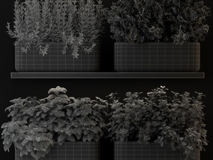 Plants collection 262 3D Model