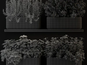 Plants collection 262 3D Model