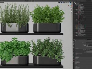 Plants collection 262 3D Model