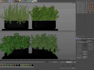 Plants collection 262 3D Model