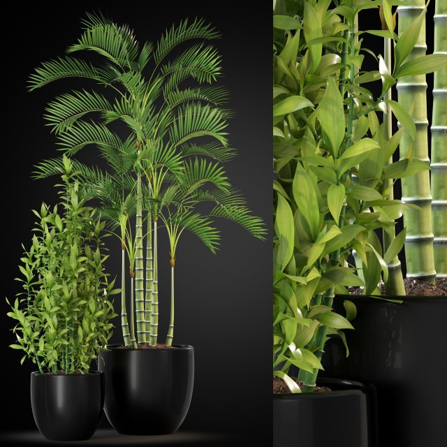 Plants collection 263 3D Model .c4d .max .obj .3ds .fbx .stl .blend
