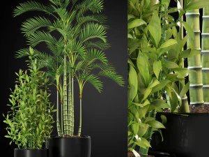 Kolekcja roślin 263 Model 3D