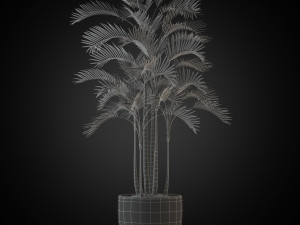 Plants collection 263 3D Model