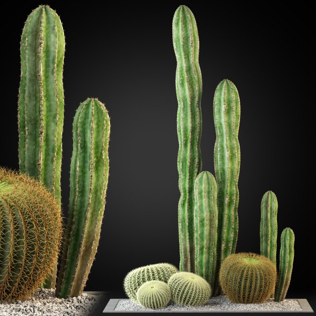 Plants collection 264 3D Model .c4d .max .obj .3ds .fbx .stl .blend 