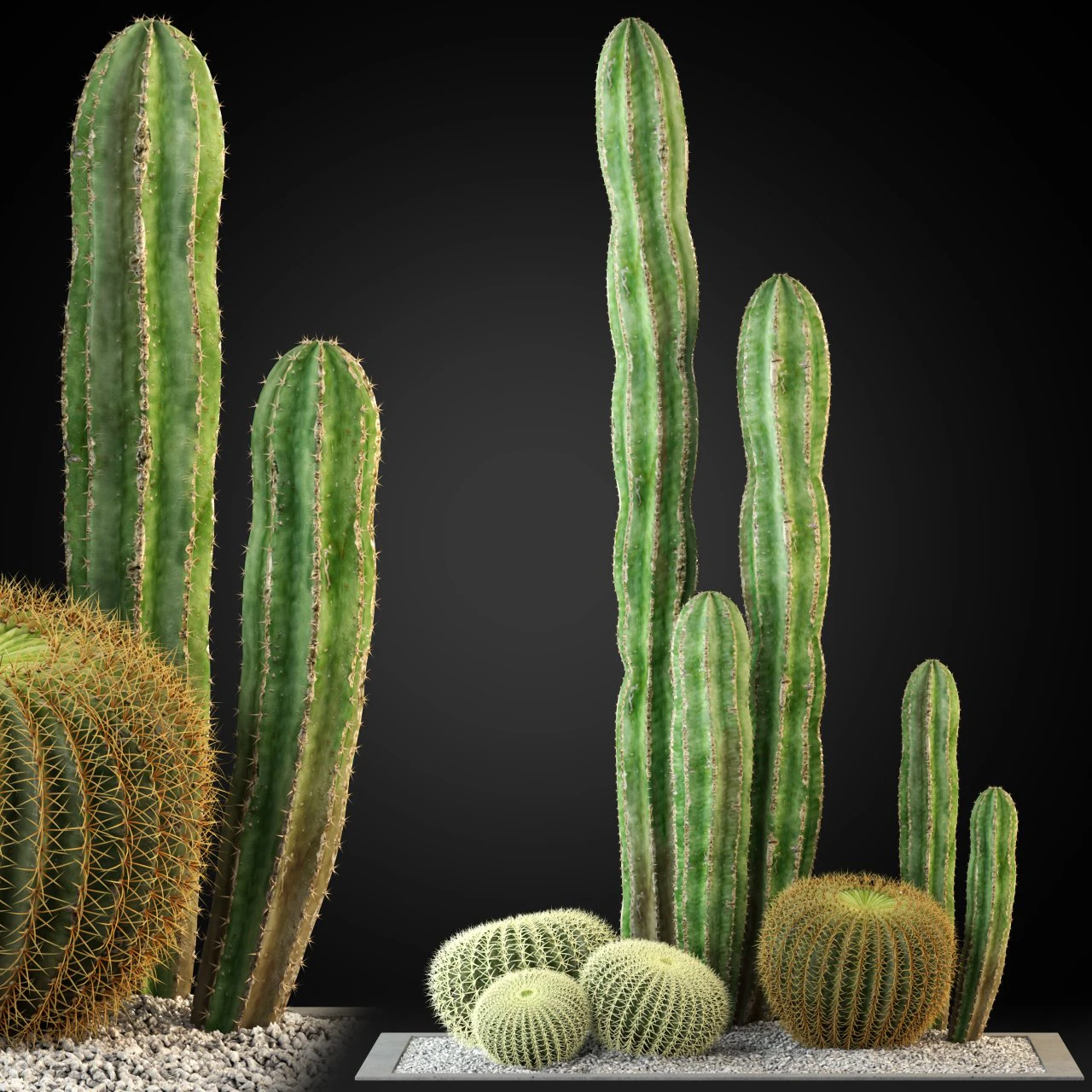 Plants collection 264 3D Model .c4d .max .obj .3ds .fbx .stl .blend 