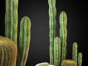 Colecci&oacute;n de plantas 264 Modelo 3D