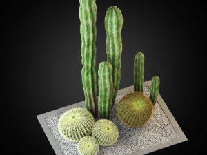 Plants collection 264 3D Model