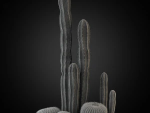 Plants collection 264 3D Model