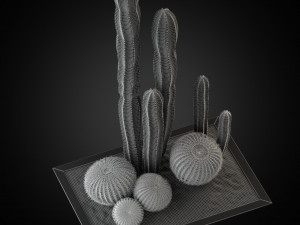 Plants collection 264 3D Model