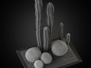 Plants collection 264 3D Model