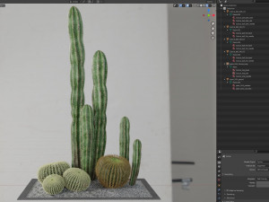 Plants collection 264 3D Model