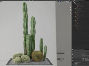 Plants collection 264 3D Model